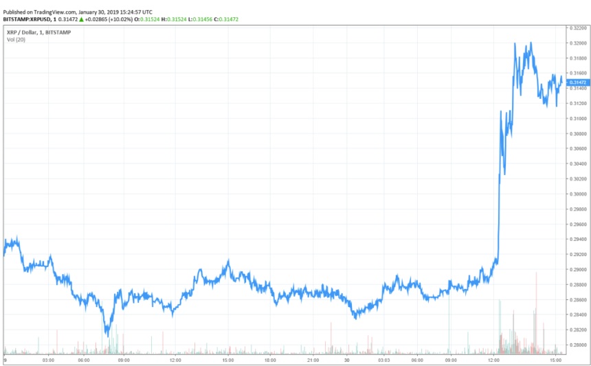 Why did the XRP price skyrocketed?