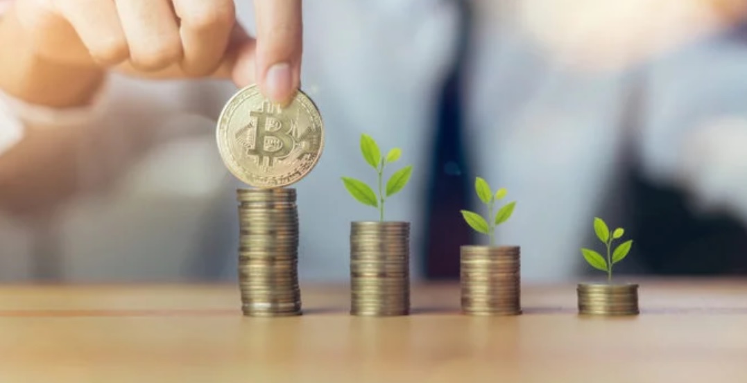 Crypto spring? The number of BTC transactions increased to a maximum in 13 months