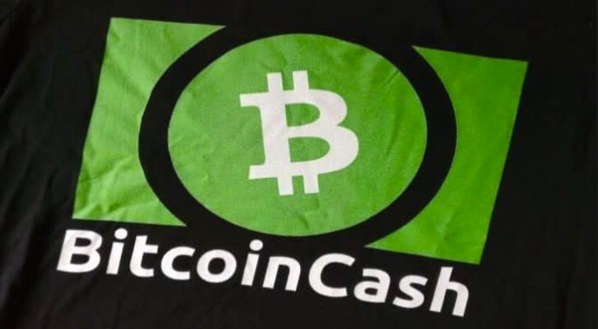 BCH increased in price by 47% per day, beating all the coins from the TOP-10