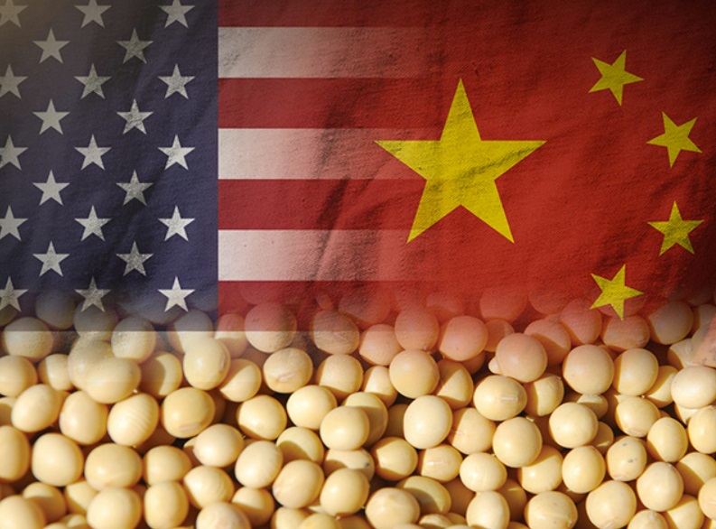 China makes next move in trade war, reportedly halting US soy purchases