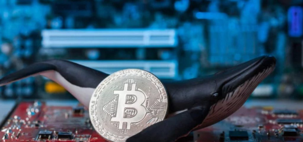 Bitcoin: Is it Too Late to Buy Bitcoin?