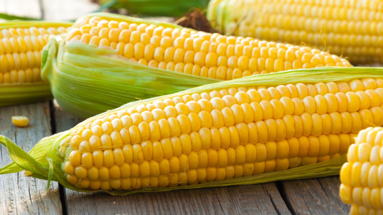 Corn Wave Analysis – 24 June, 2019