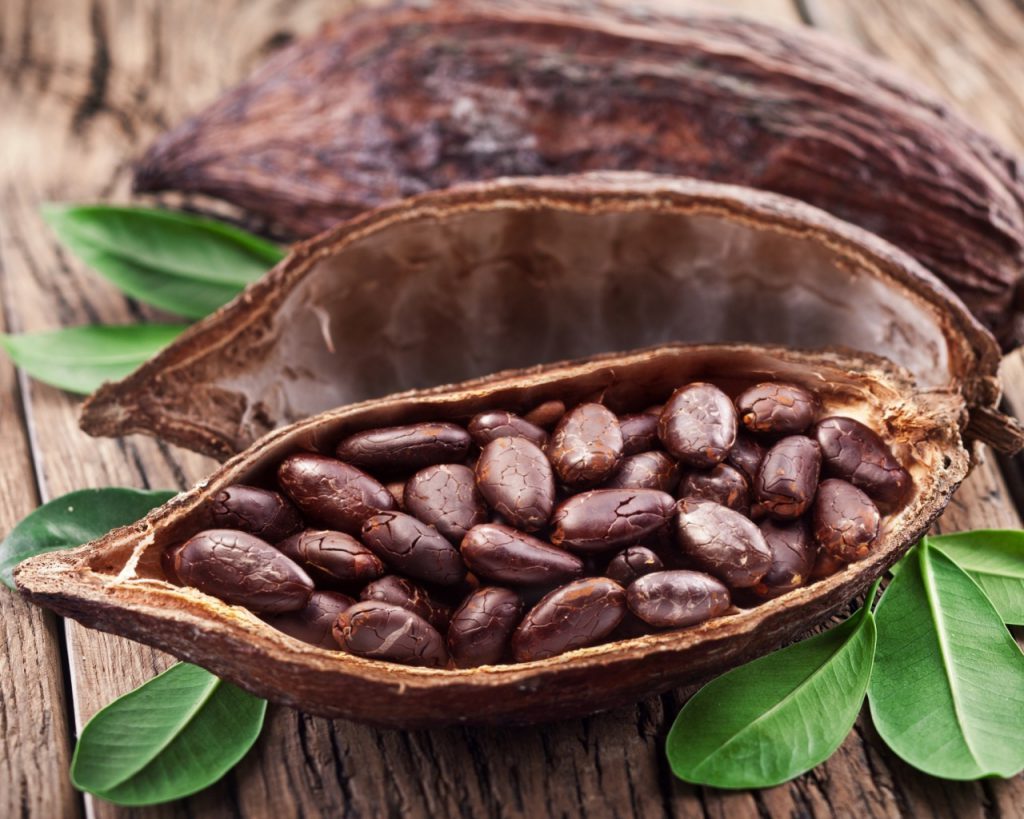 Cocoa Wave Analysis – 14 November, 2019