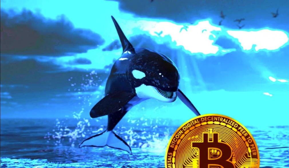 Bitcoin Whale Puts Crypto Traders on Alert, Warns ‘Phantom Money’ Pushing Price of BTC