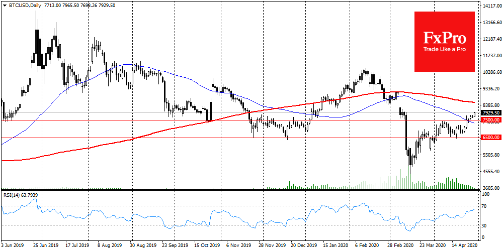 Bit-comment: Bitcoin grew amid speculation of upcoming halving