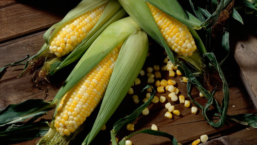 Corn Wave Analysis – 22 April, 2020
