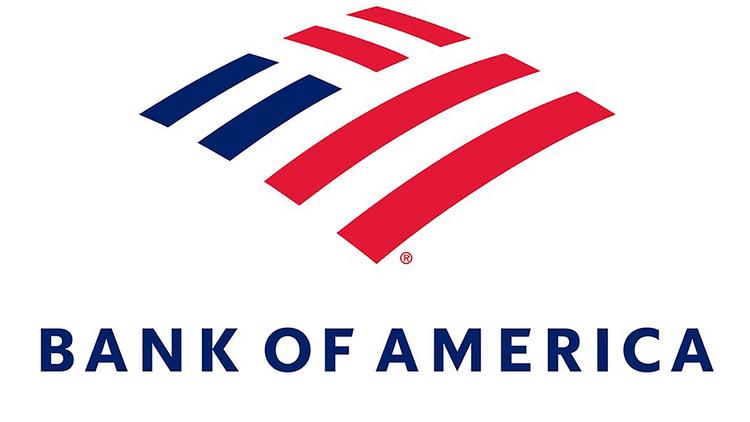 Bank of America Wave Analysis 12 November, 2020