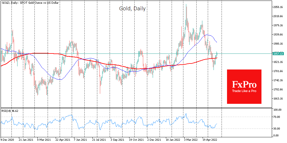 Rising Euro, recovery from oversold helping Gold