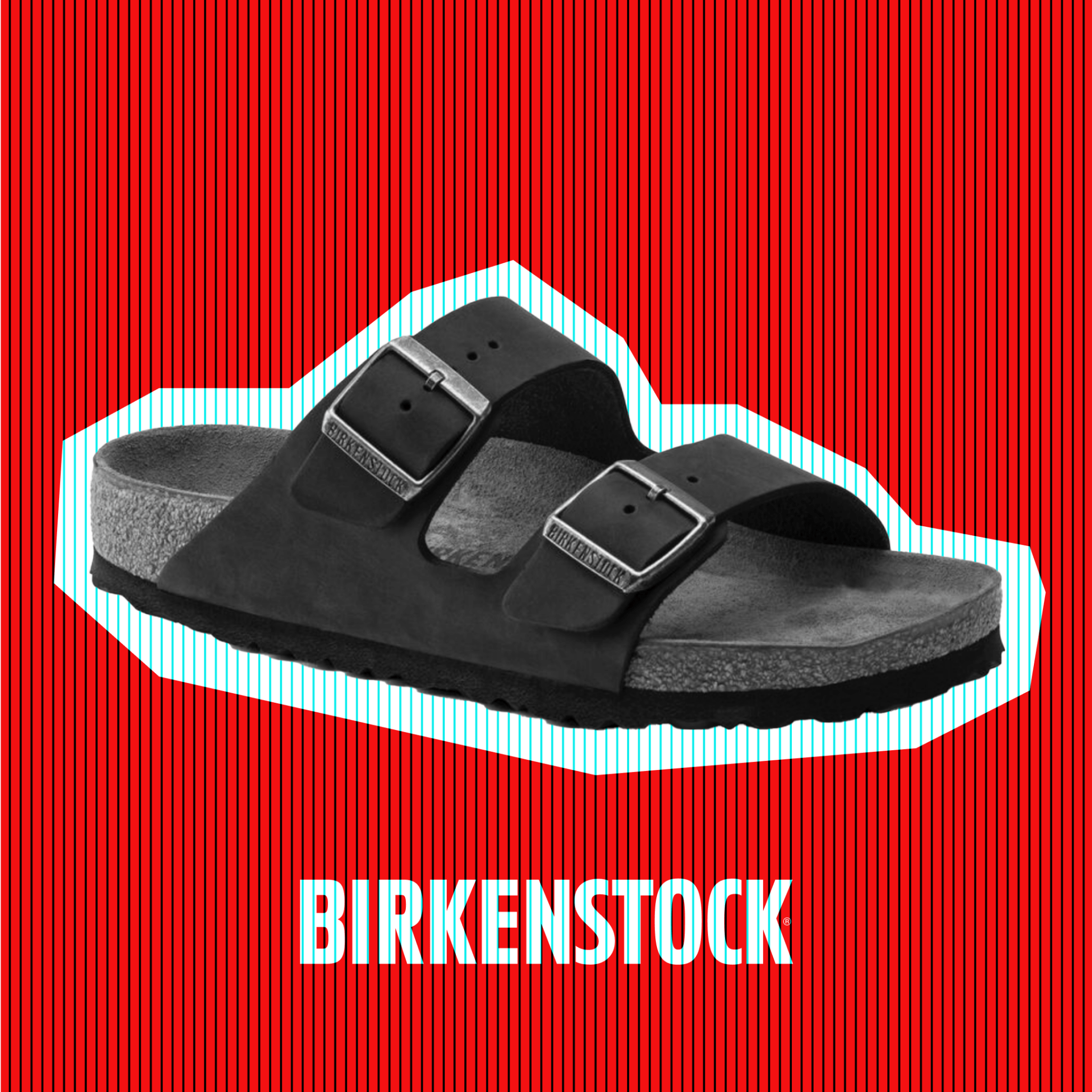 birken2-2048x2048.png