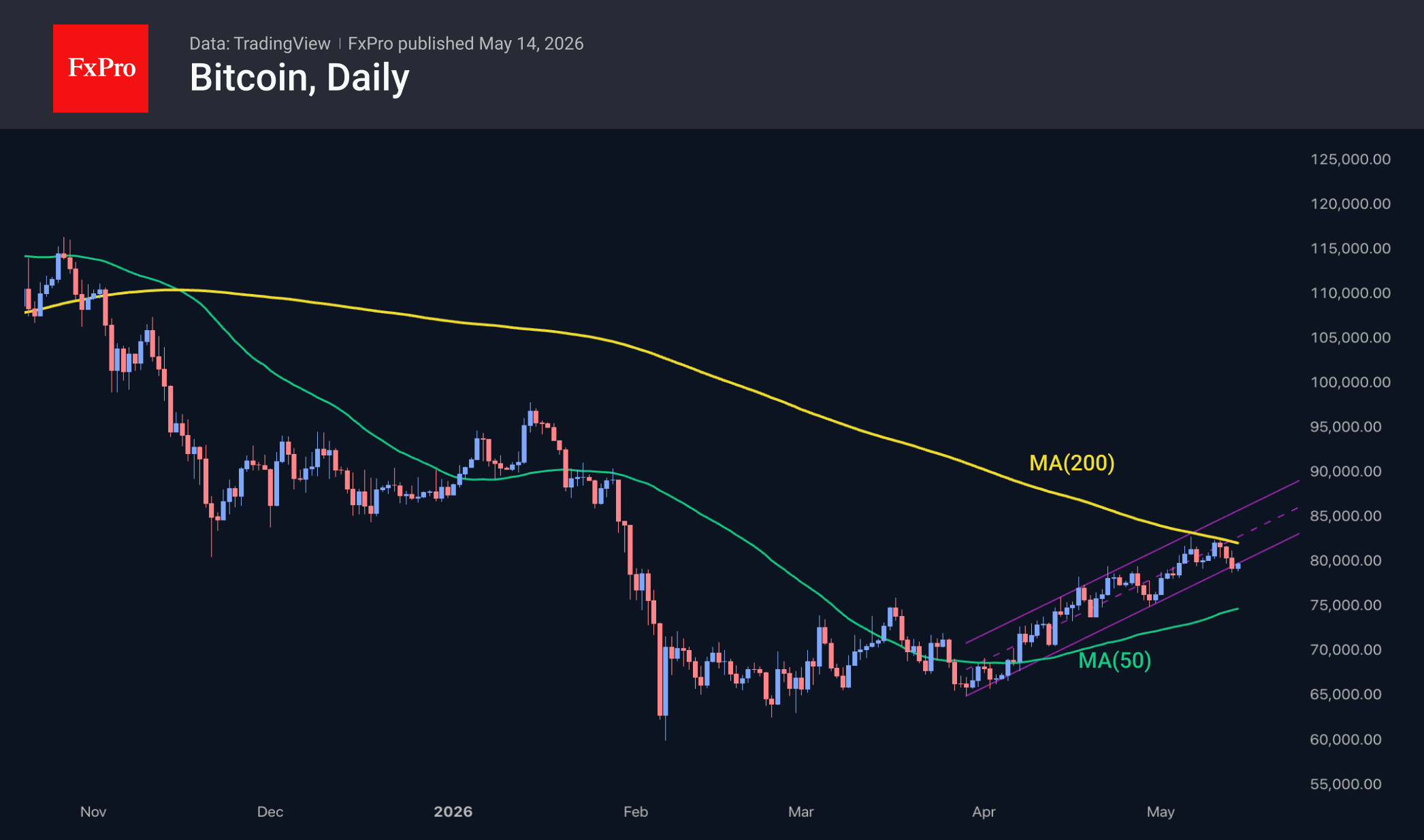 Fig. 2. Bitcoin has once again fallen below $80K.