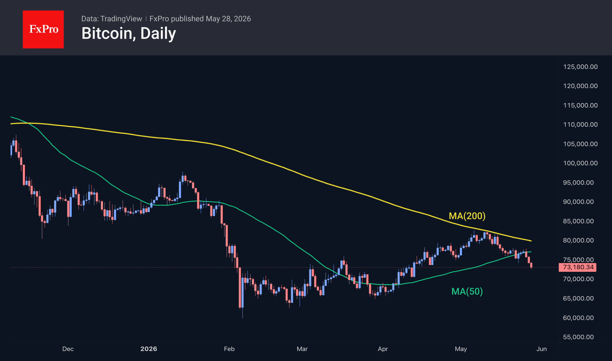 Fig. 2. Bitcoin has accelerated its decline, falling below the 50-day MA.